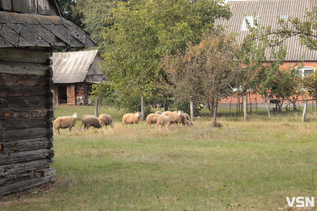 Як живе поліське село на Волині. Фоторепортаж.