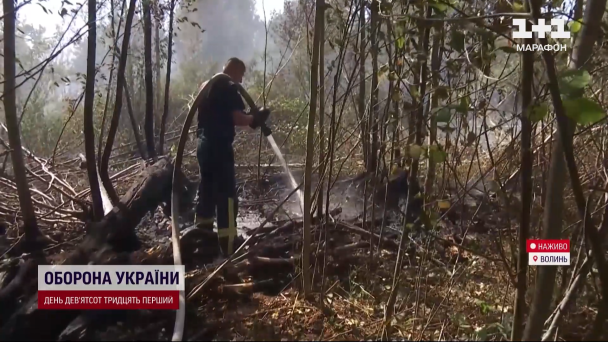 Вогонь наближається до населених пунктів: чому на Волині спалахнули масштабні пожежі