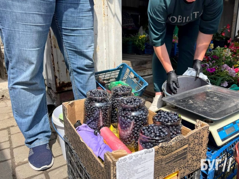 Сезон чорниці: скільки коштують ягоди на волинському ринку