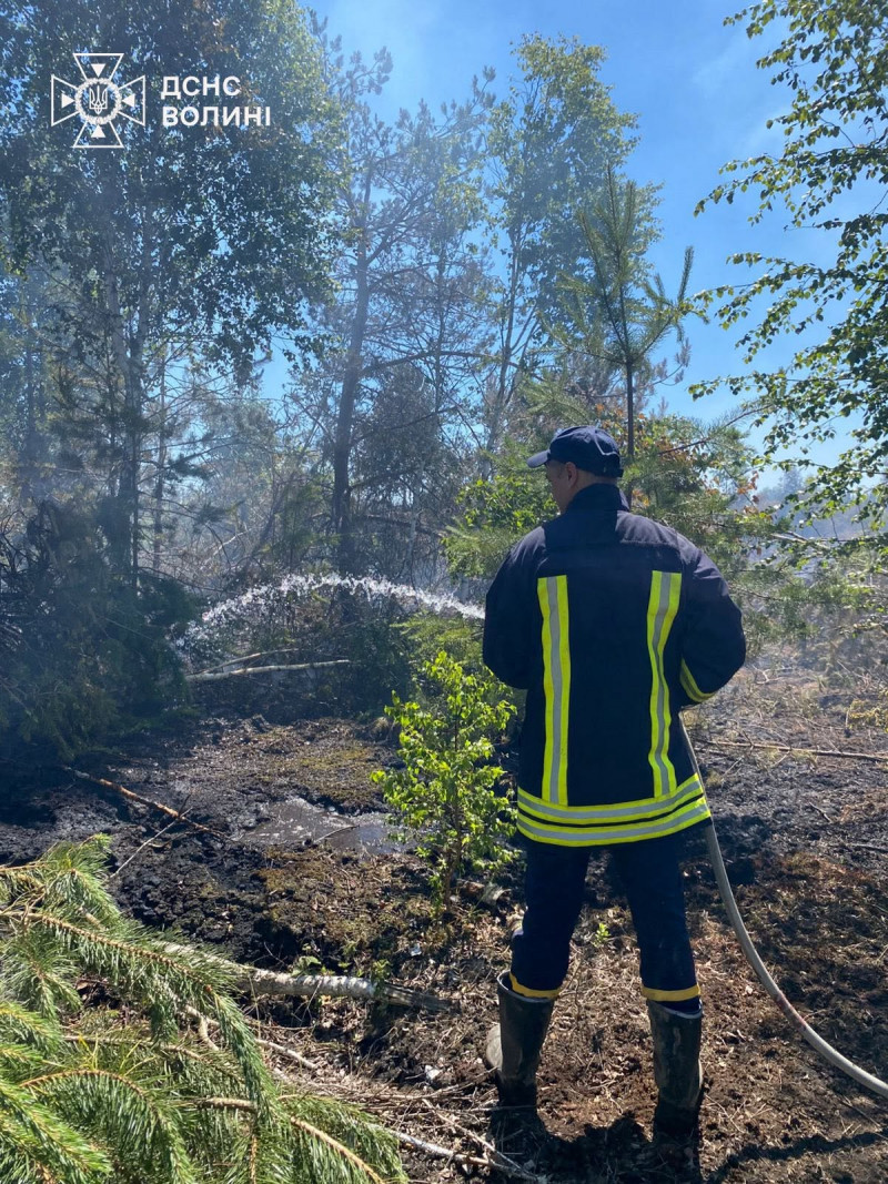 На Волині рятувальники другий день ліквідовують тління торфовища на площі 4 гектари