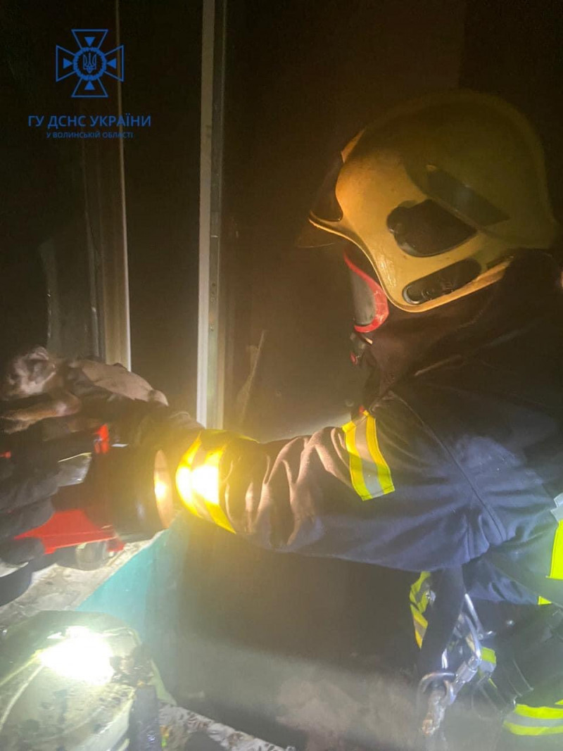 Волинські рятувальники з палаючого будинку винесли п’ятьох цуценят