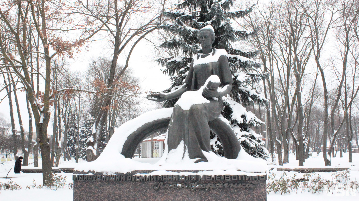 Ковель після снігопадів: фоторепортаж із засніженого міста