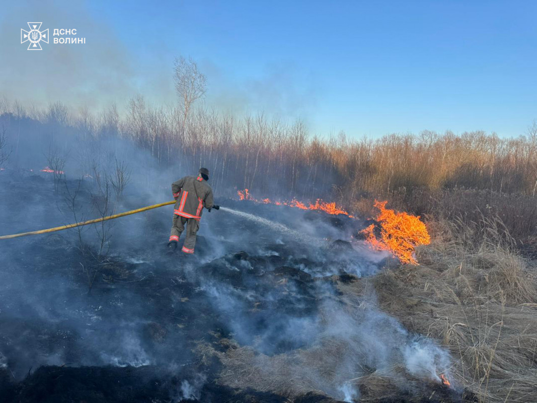 На Волині протягом доби вигоріло близько 16 гектарів сухої трави