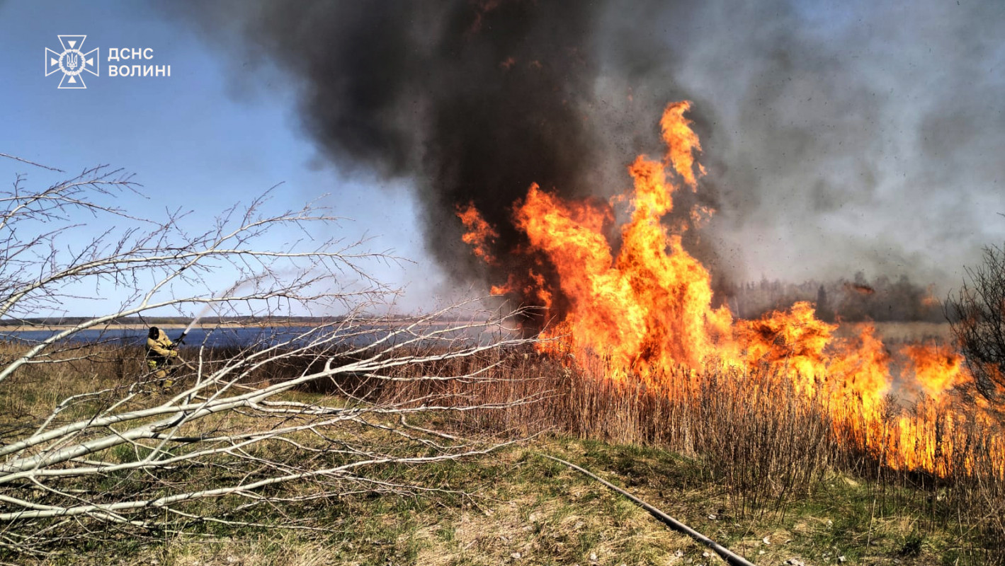 Вогонь підбирався до будинків: за вихідні на Волині вигоріло понад 30 гектарів сухостою