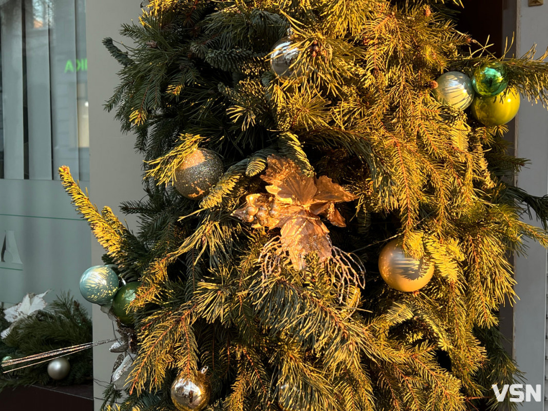 Останній день 2025 у Луцьку: місто в очікуванні Нового року. Фоторепортаж