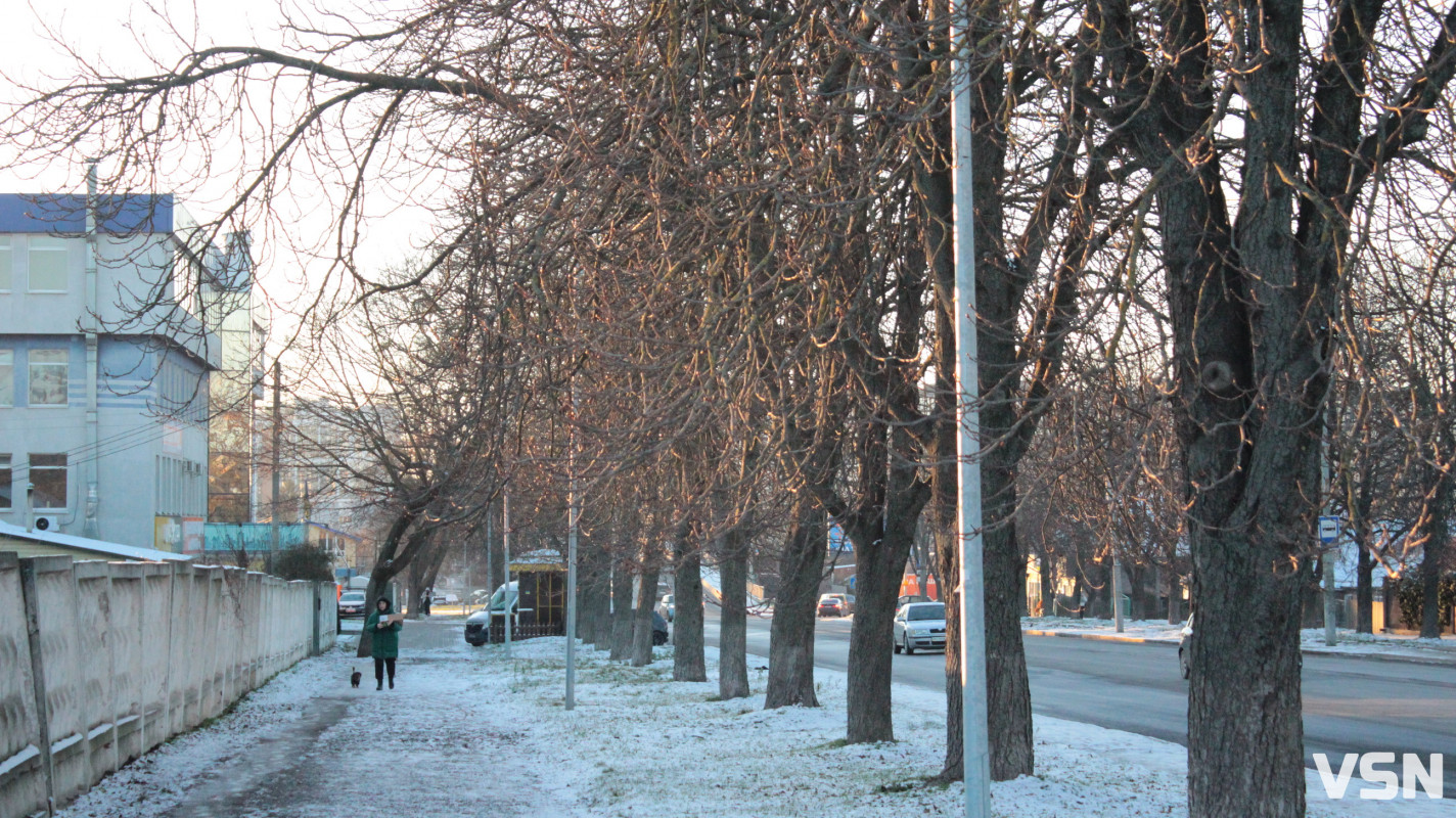 Засніжений Луцьк: як виглядають парки та двори міста взимку напередодні Нового 2026 року. Фоторепортаж