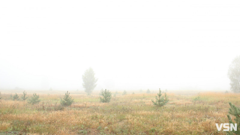 Що шукають волиняни в Google на початку вересня