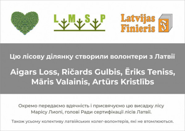 На Волині латвійські волонтери разом із лісівниками садили ліс