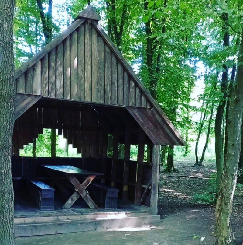 Альтанки, мангал і природа: добірка місць для відпочинку біля Луцька