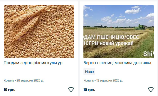 Скільки коштує зерно у Волинській області: пшениця, ячмінь, овес