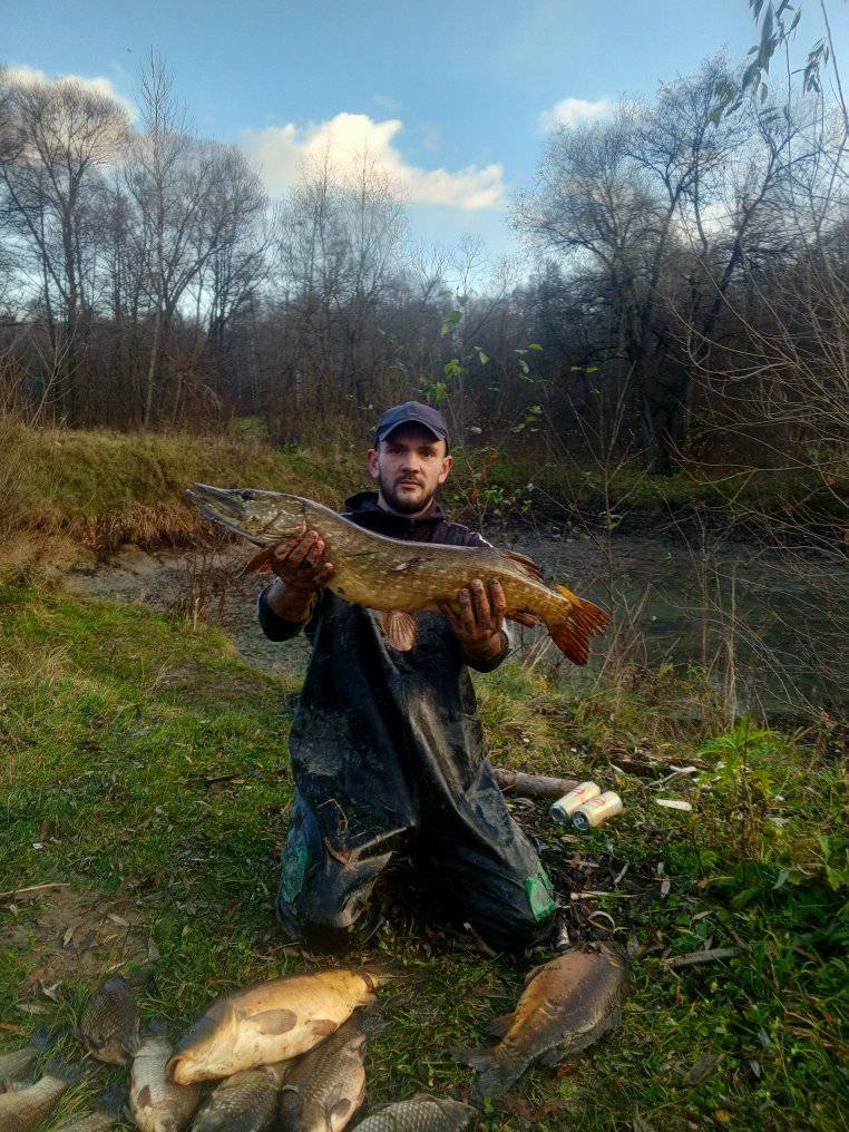 На Івано-Франківщині рибалка зловив дві здоровенні щуки. Фото