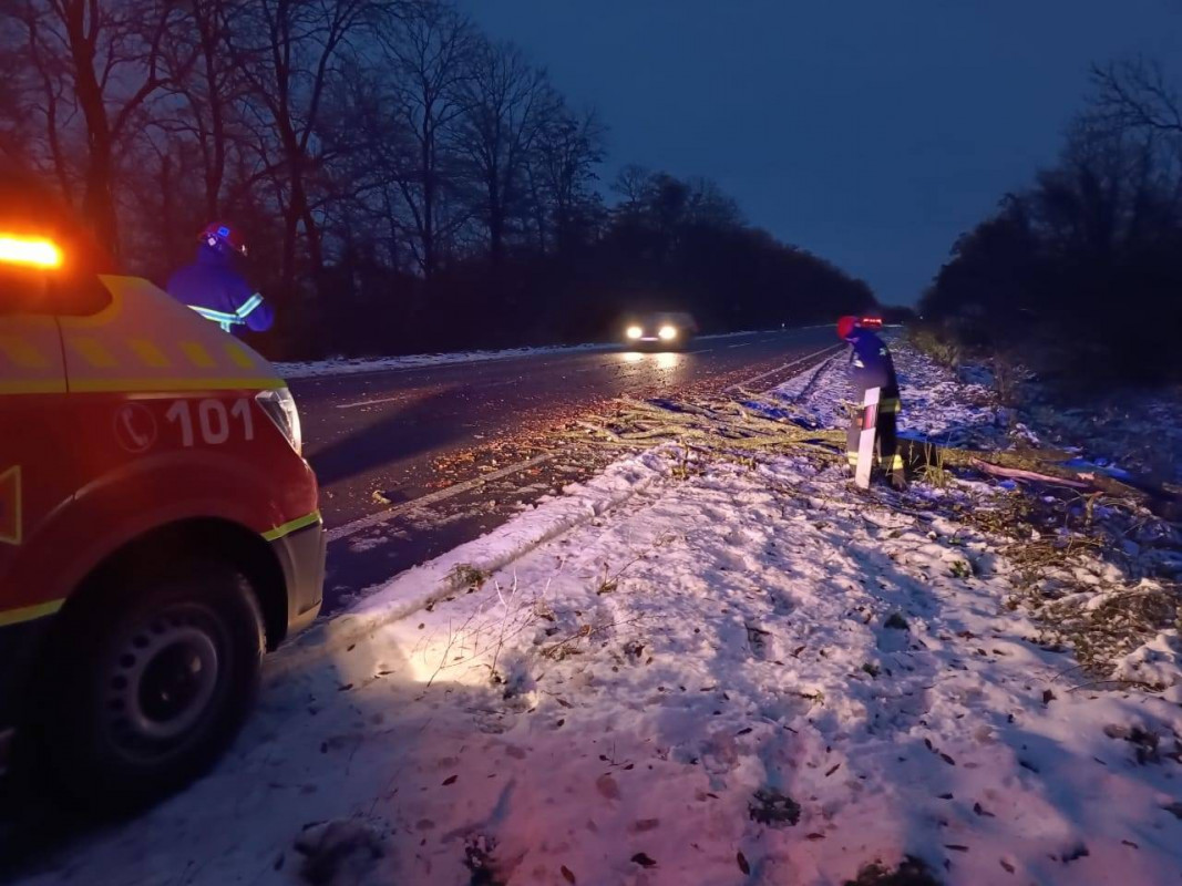 У Луцькому районі на проїжджу частину дороги впало дерево