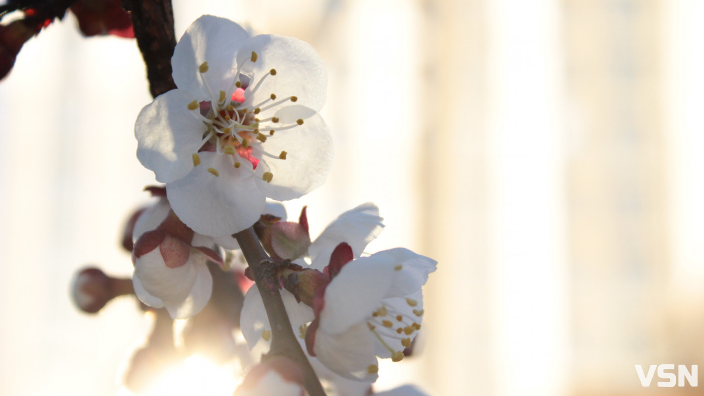 Як виглядає парк 900-річчя у Луцьку навесні 2026. Фоторепортаж