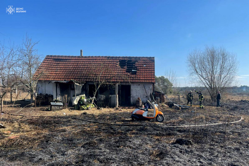 Вигоріло понад 50 гектарів: на Волині за добу ліквідували 28 пожеж