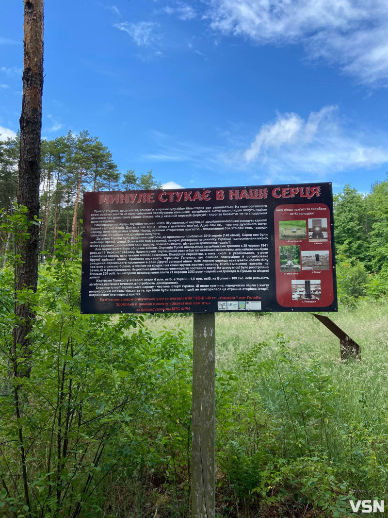 Спадщина з характером: чим дивує волинське селище Голоби. Фоторепортаж