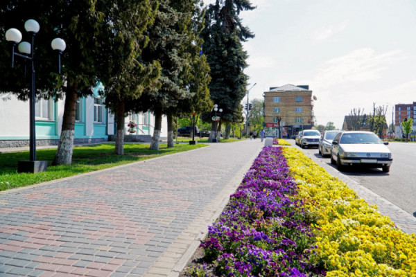 У Володимир завітала весна: 10 атмосферних фото квітучого міста
