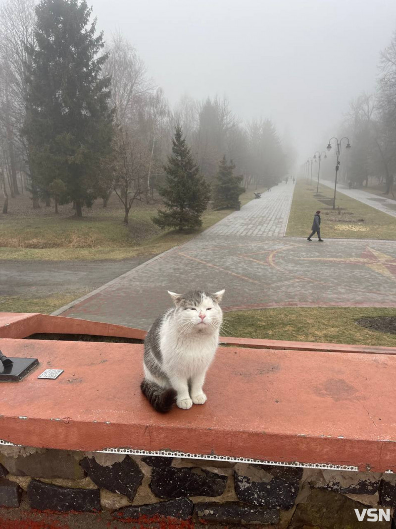 Перший весняний день приніс на Волинь туман