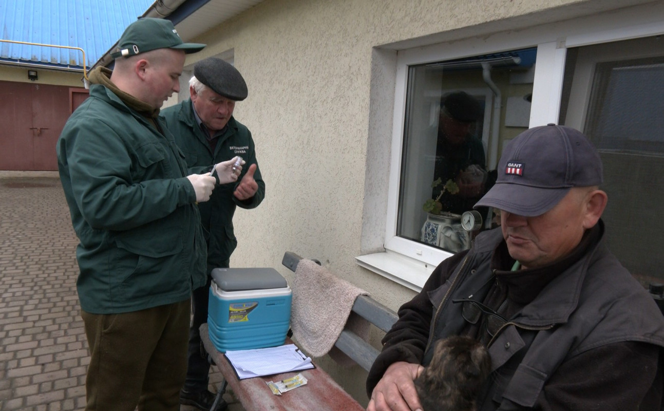 У селах Волині триває вакцинація тварин від сказу