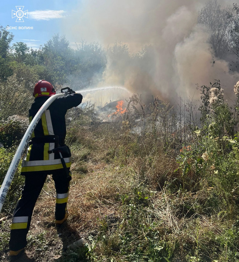 7 пожеж та 11 штрафів: на Волині масово карають паліїв сухостою