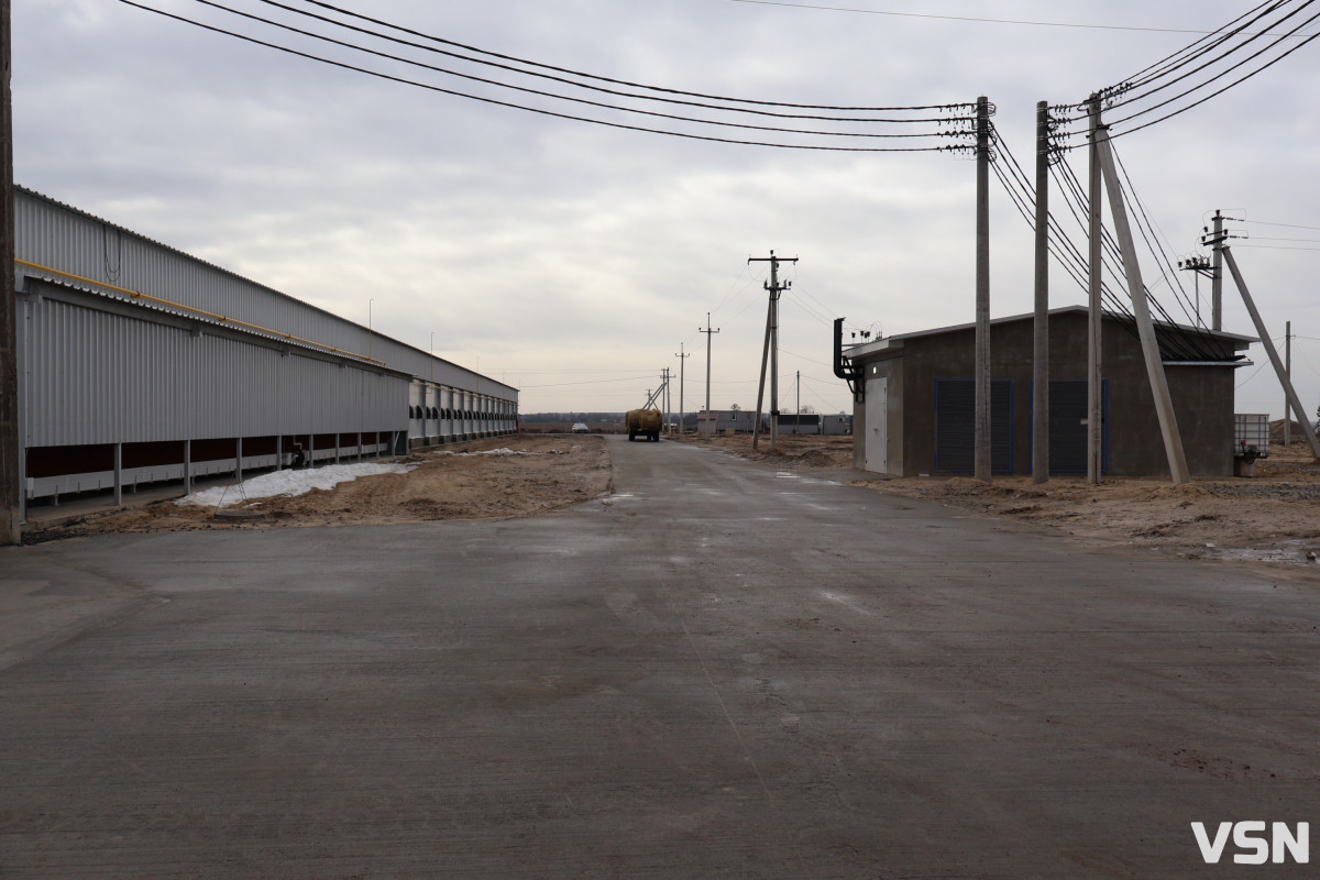 Avesterra Group відкрила на Волині сучасний комплекс із вирощування курчат-бройлерів за 15 мільйонів євро