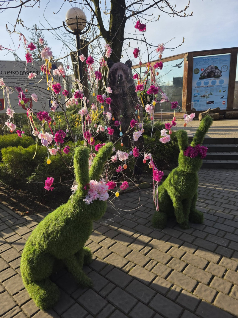 Які ціни на квитки до Луцького зоопарку у 2026 році