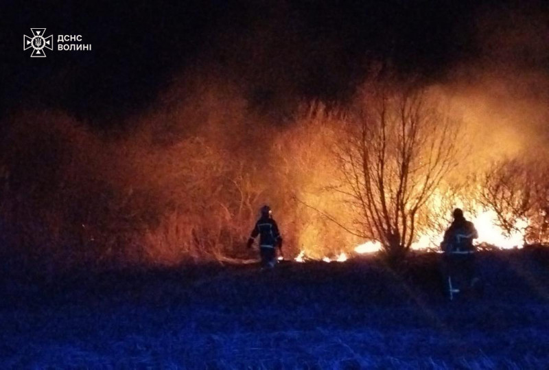 На Волині протягом доби вигоріло близько 16 гектарів сухої трави