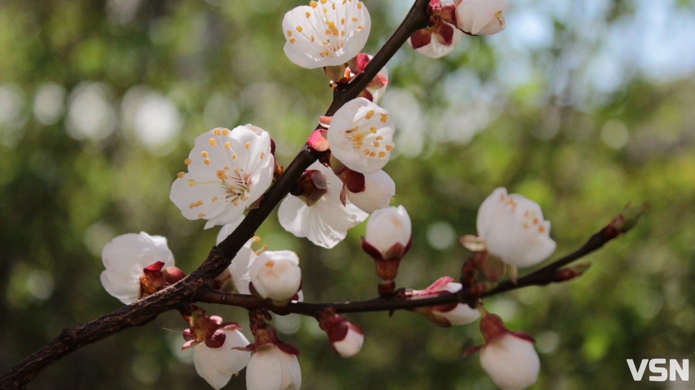Як виглядає парк 900-річчя у Луцьку навесні 2026. Фоторепортаж