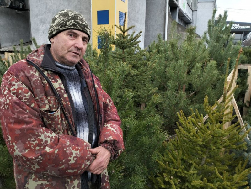 У Луцьку вже можна купити ялинку. Скільки коштують хвойні дерева до свят