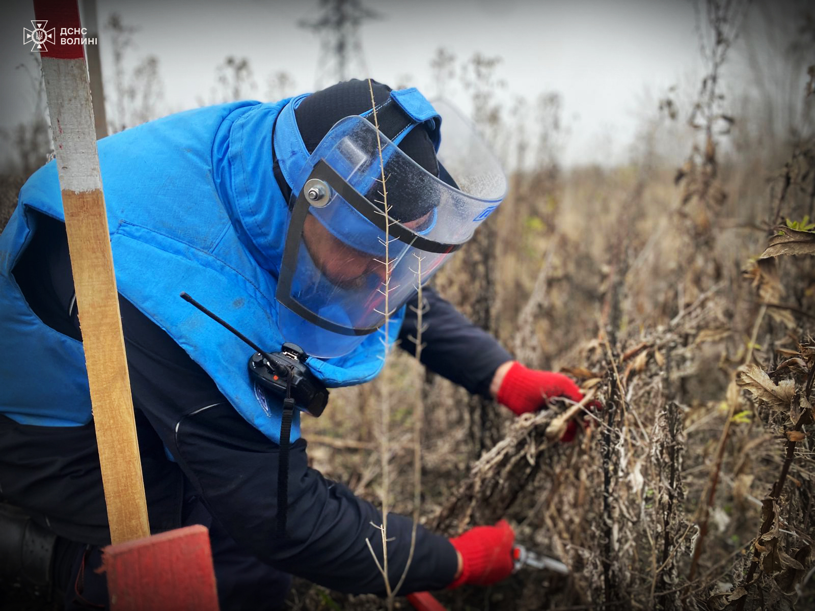 Кожен гектар під контролем: волинські піротехніки розміновують Харківщину