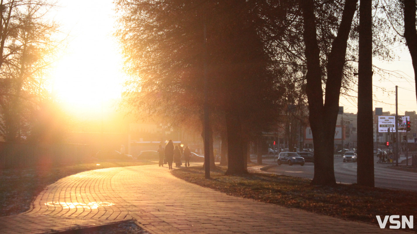Засніжений Луцьк: як виглядають парки та двори міста взимку напередодні Нового 2026 року. Фоторепортаж