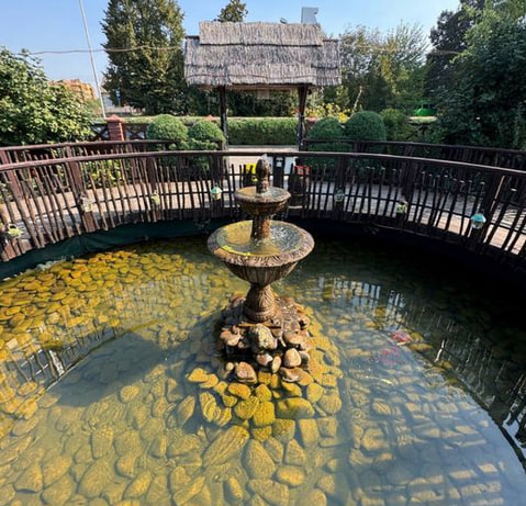 Біля Луцька продають популярний ресторан з альтанками за 600 тисяч доларів