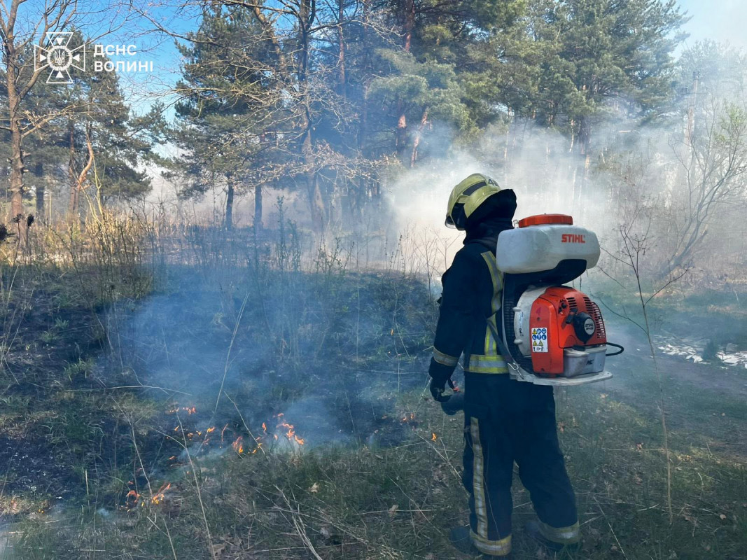 Майже 700 пожеж за пів року: волинян закликають обережно відпочивати на природі