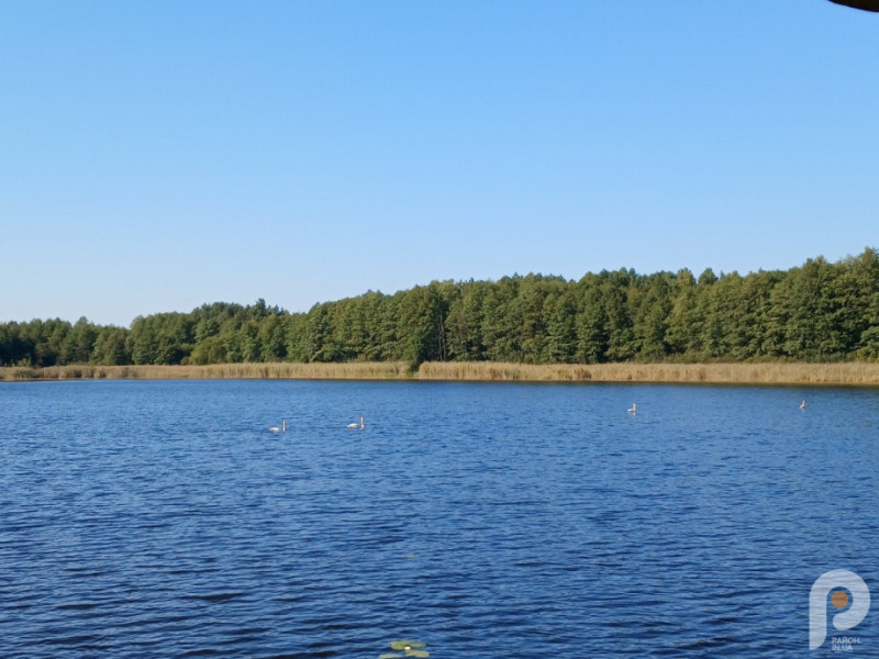 Вісім озер Волині, які варто відвідати цього літа