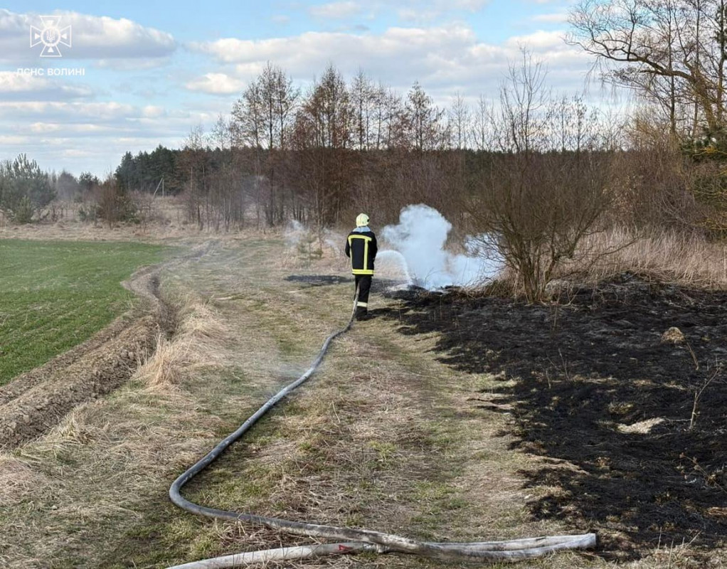 На Волині через людську недбалість згоріли хлів і понад 7 гектарів сухої трави