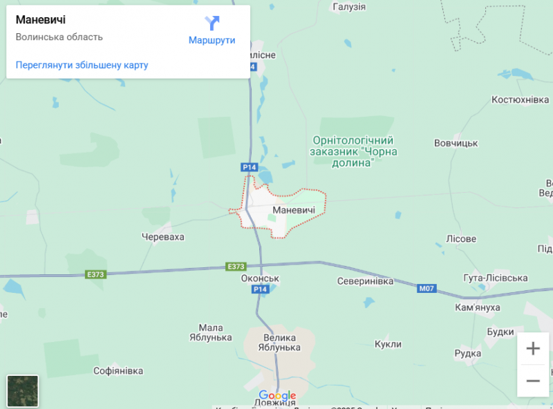 Грибний бум на Волині: де шукати білі, лисички та опеньки