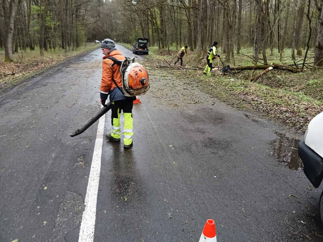 На Волині буревій пошкодив дах ліцею та повалив дерева