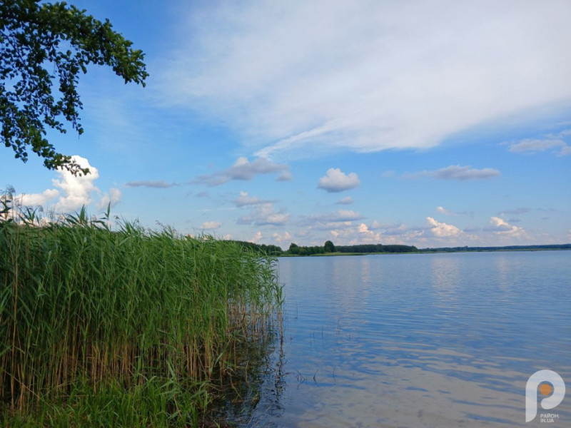 Спокійний плес, піщаний берег і затишна атмосфера: розповіли про місце відпочинку на Волині