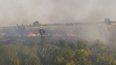 На Волині у пожежі сухої трави та чагарників загинув чоловік