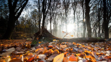 погода в Україні