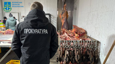 У Луцькому районі викрили підпільну бійню, де забивали худобу, а рештки закопували у непризначених місцях