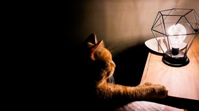 На Волині 3 квітня запровадять погодинні відключення електроенергії: графік