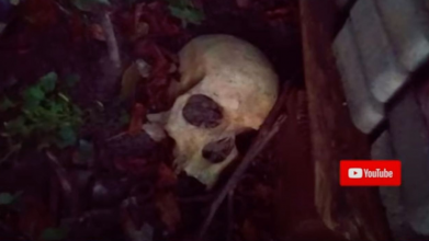 У центрі Луцька перехожі виявили моторошну знахідку - людський череп