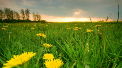 Ховати куртки чи ні: якою буде погода на Волині на початку травня