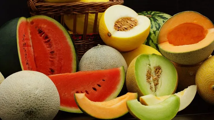 Коли садити дині і кавуни на розсаду у 2026 році: запам’ятайте ці найкращі дати