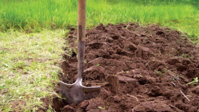 Провідна седмиця: чи можна працювати на городі у другий тиждень після Великодня чи це гріх