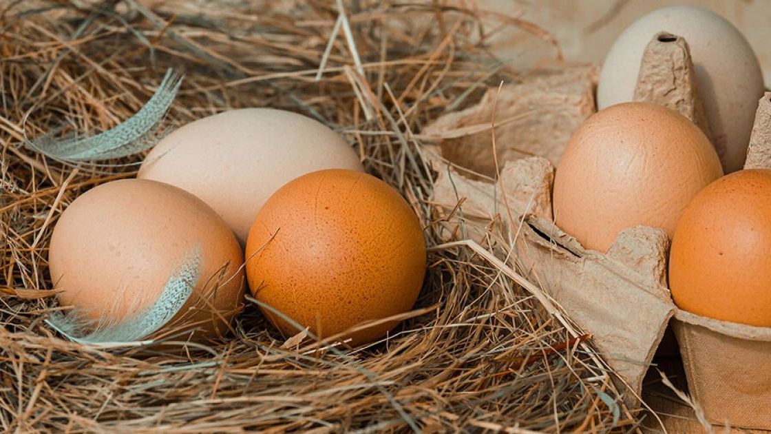Яйця не винні: які продукти підвищують рівень холестерину в крові