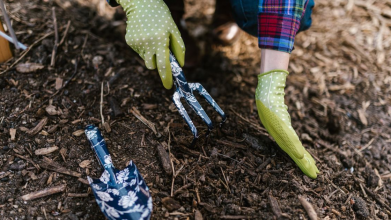 що посадити у квітні