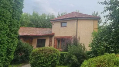 У Луцьку за 750 тисяч доларів продають маєток із басейном і сауною