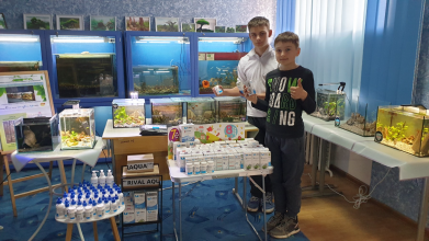 Рибки, рослини, равлики: у Луцьку відбудеться виставка-конкурс з акваріумного аранжування