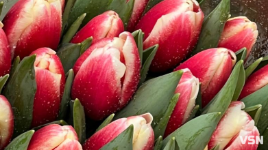 Скільки коштують квіти на День закоханих у Луцьку?